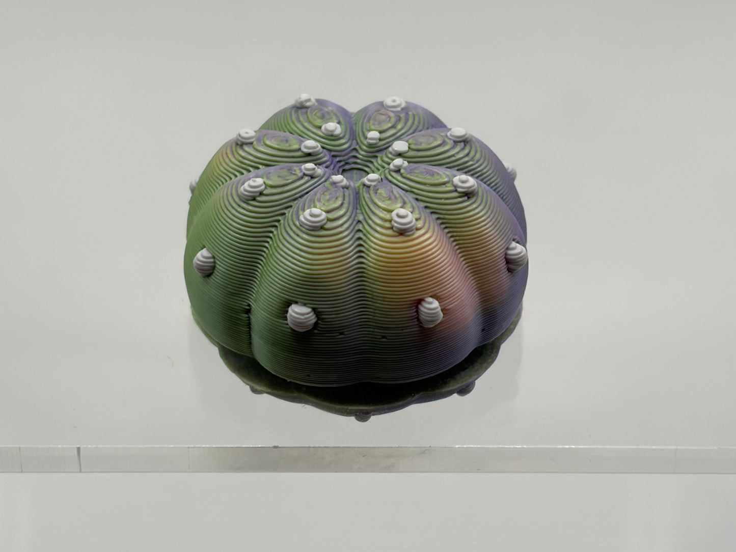 Magnetic Peyote Button