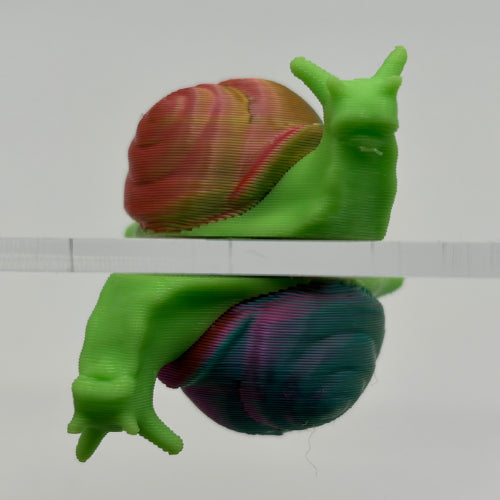 Magnetic Dual Snails