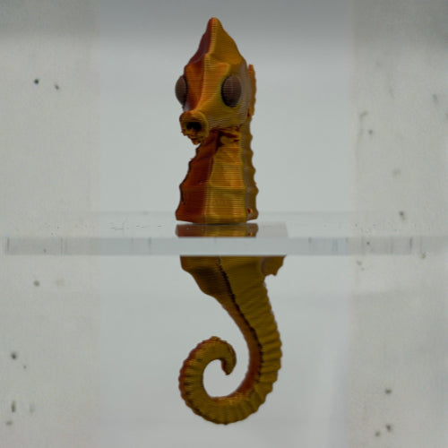 Magnetic Seahorse