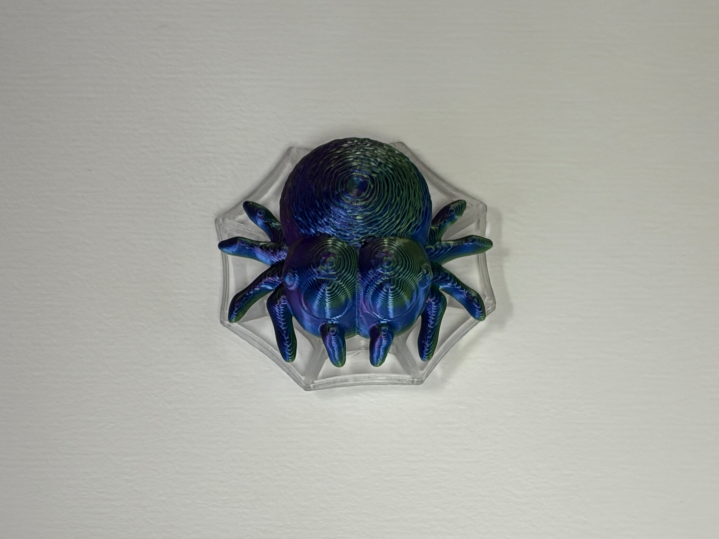 "Hatcessories" Magnetic Spider/Web