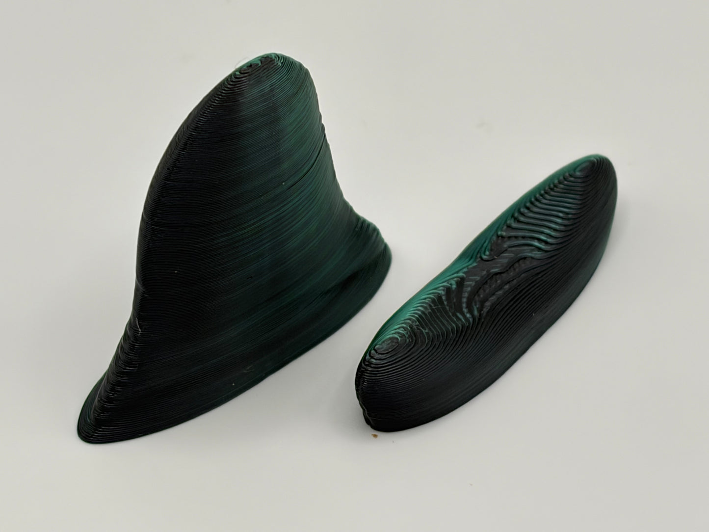 "Hatcessories" Megalodon Tooth