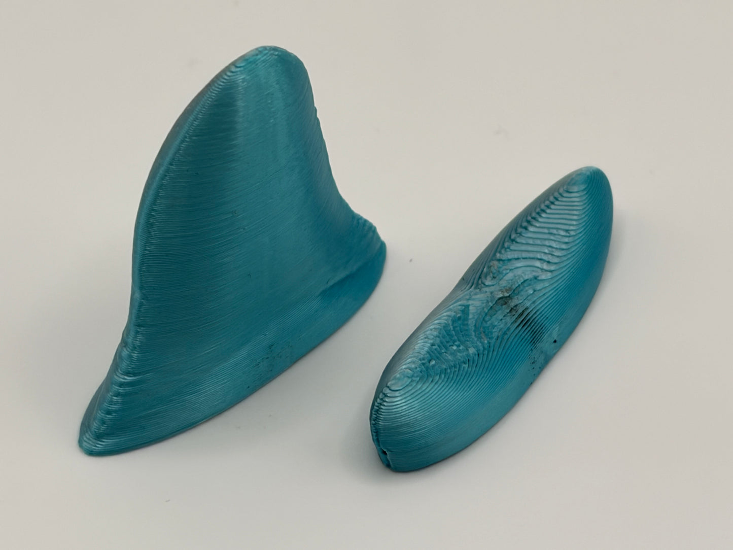 "Hatcessories" Megalodon Tooth