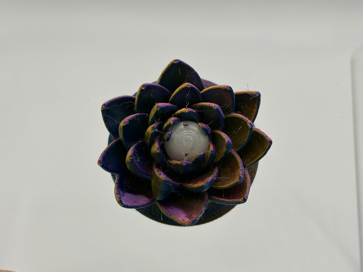 Magnetic Lotus Flower