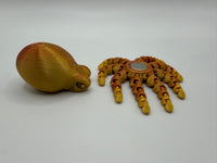 Magnetic Octopus
