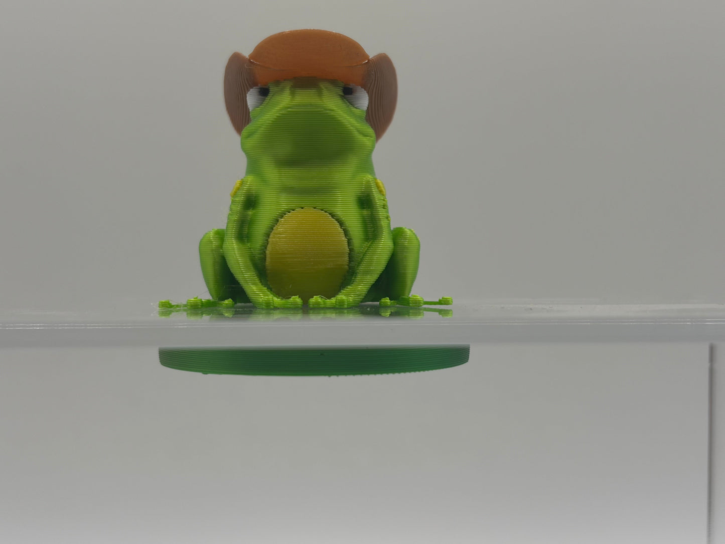 Magnetic Bullfrog w/Interchangeable Hats on a Lily Pad