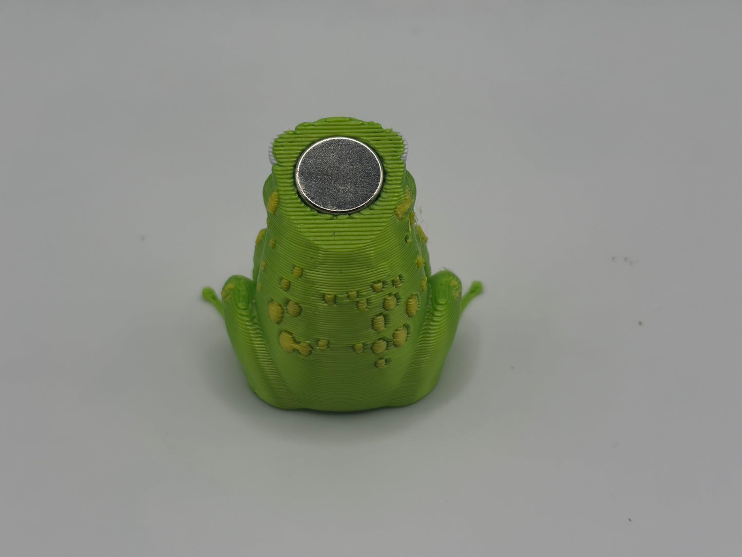 Magnetic Bullfrog w/Interchangeable Hats on a Lily Pad