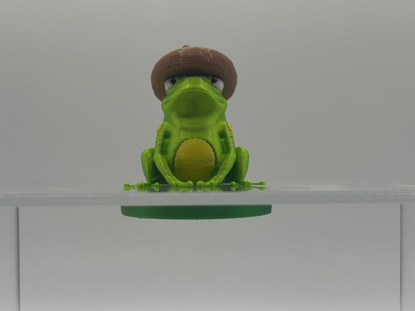 Magnetic Bullfrog w/Interchangeable Hats on a Lily Pad