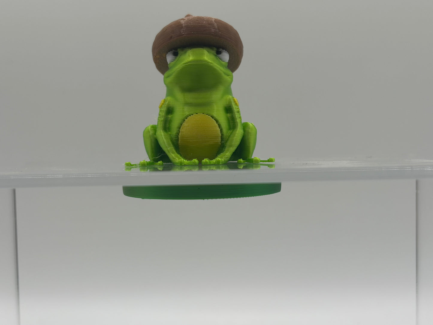 Magnetic Bullfrog w/Interchangeable Hats on a Lily Pad
