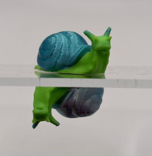 Magnetic Dual Snails