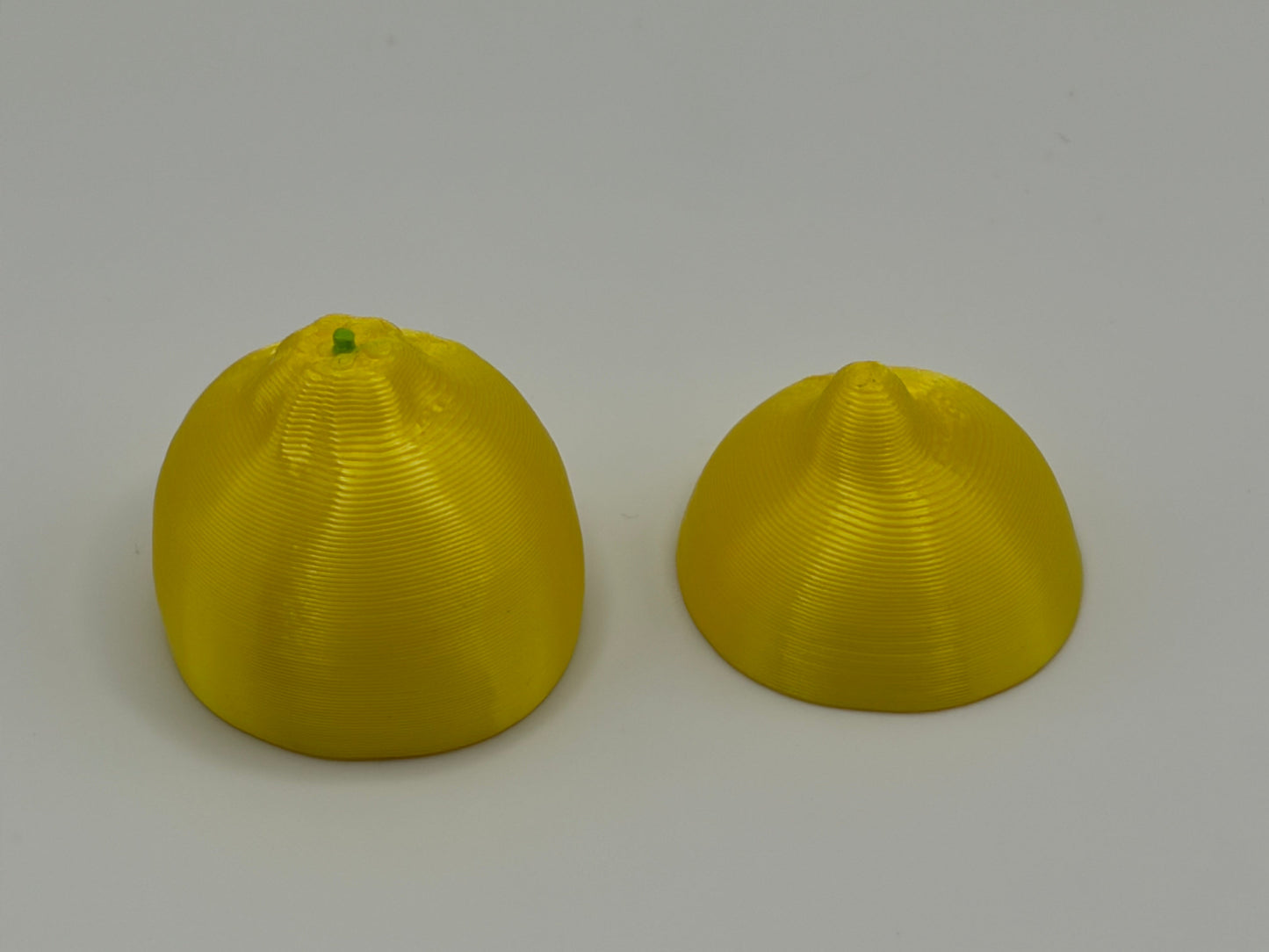 Magnetic Lemon, Lime & Oranges