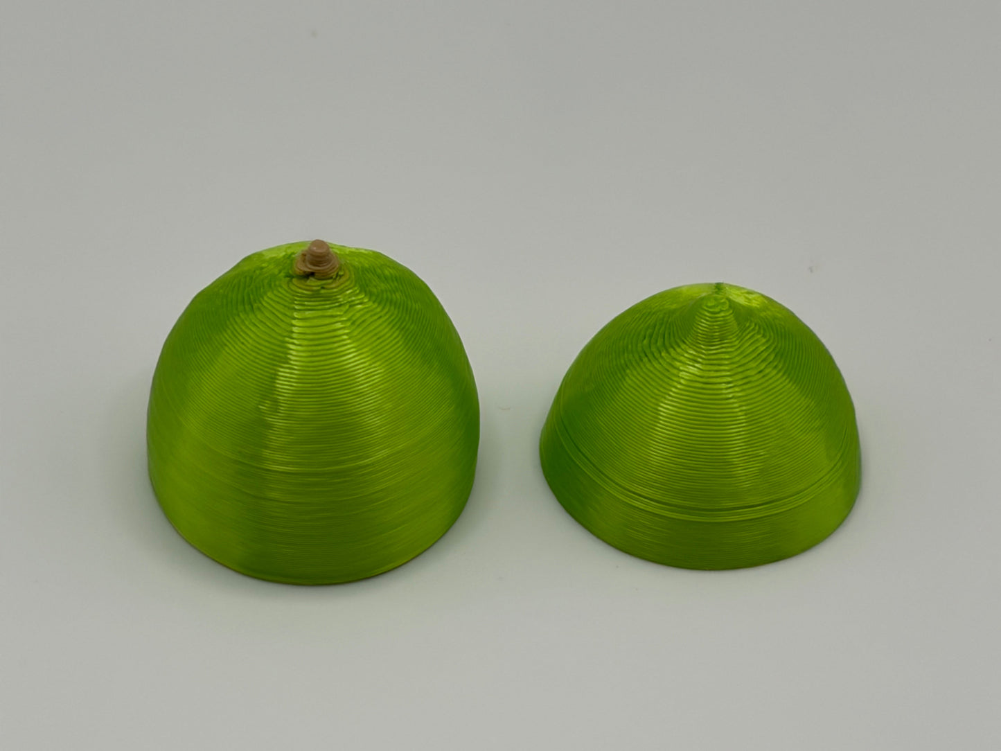 Magnetic Lemon, Lime & Oranges