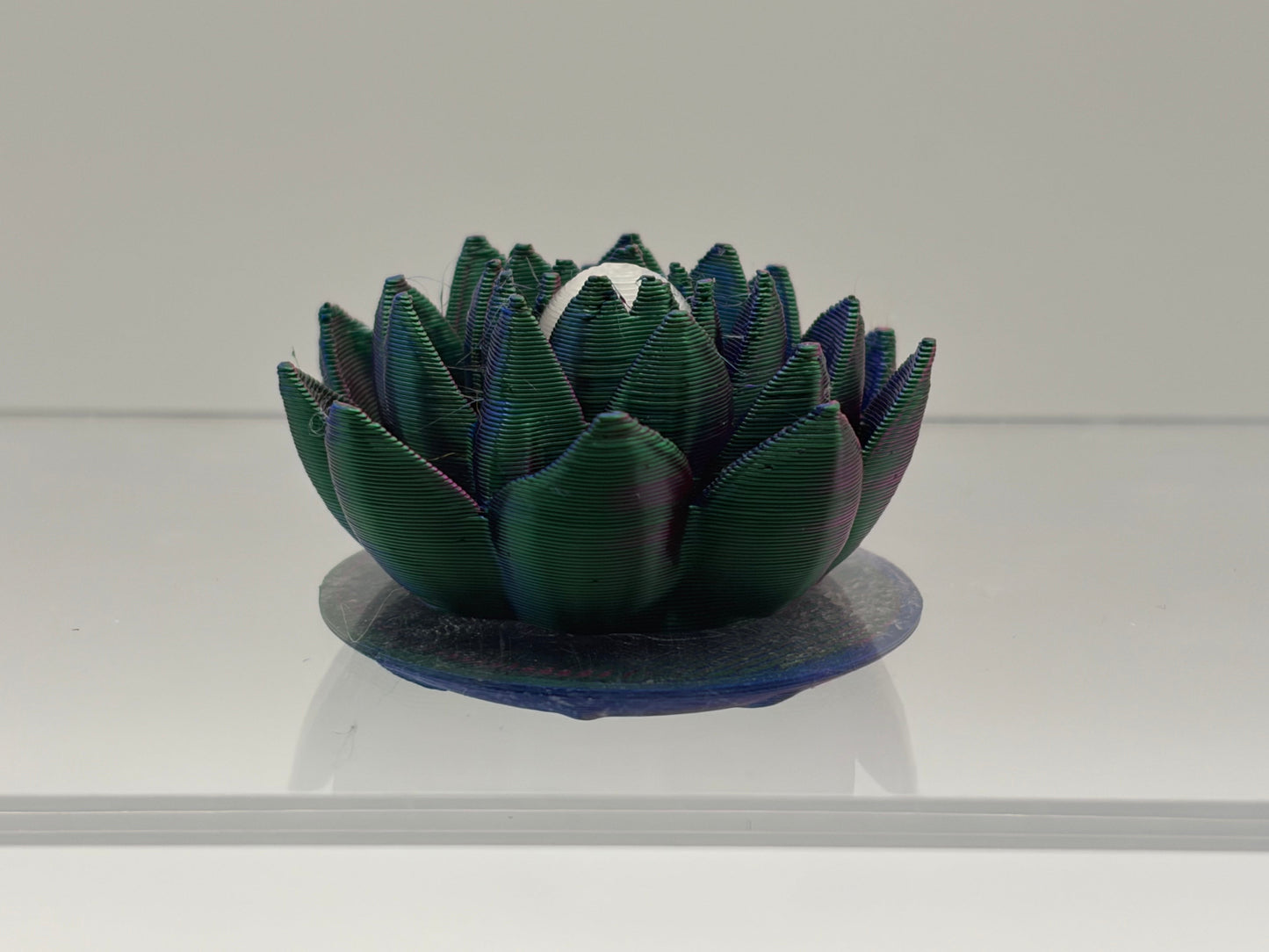 Magnetic Lotus Flower
