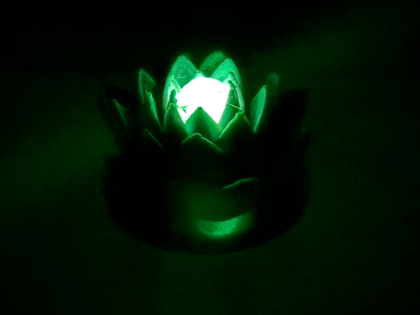 Magnetic Lotus Flower