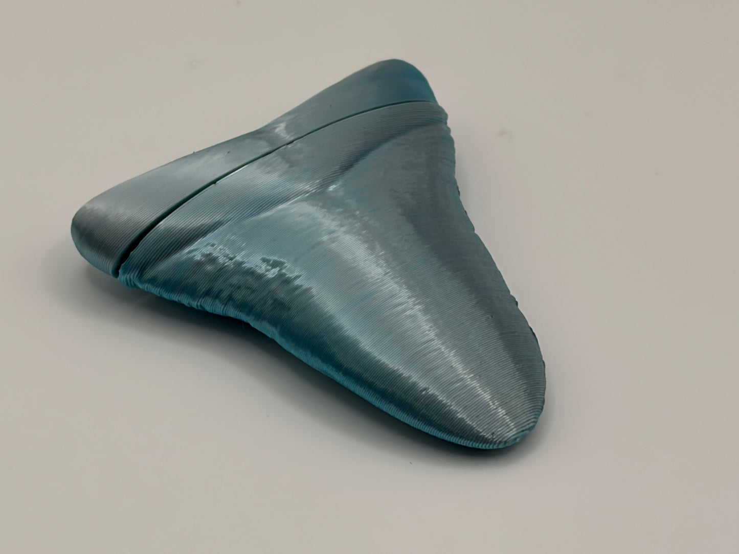 Magnetic Megalodon Tooth