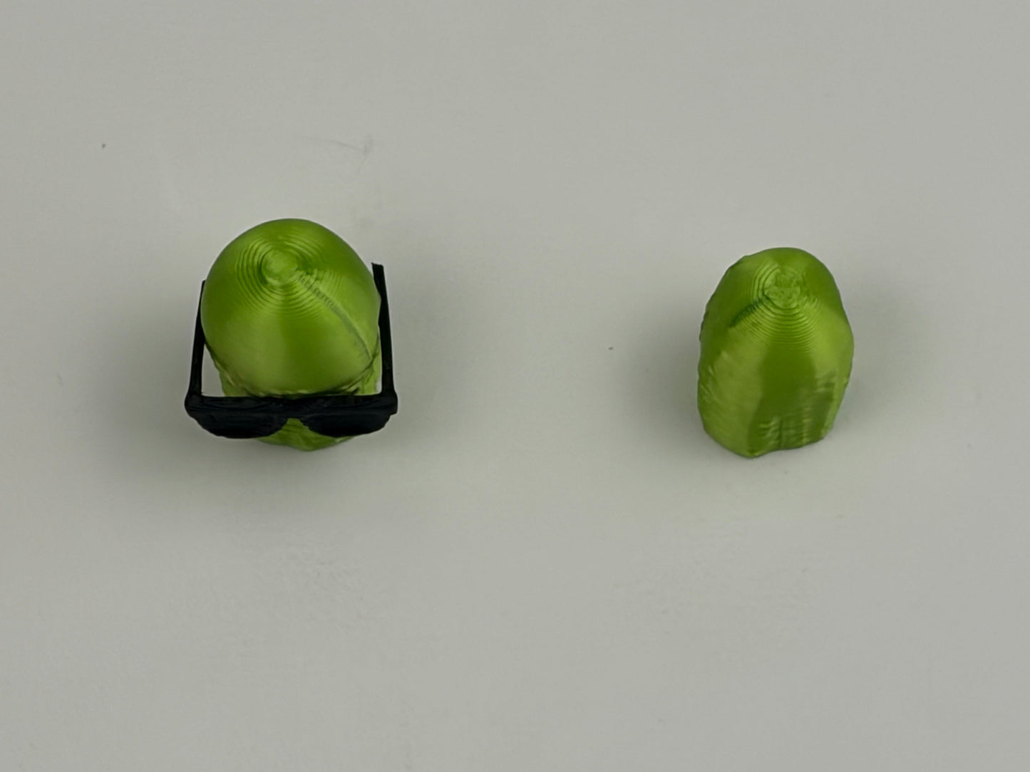 Magnetic Pickle Wearing Shades