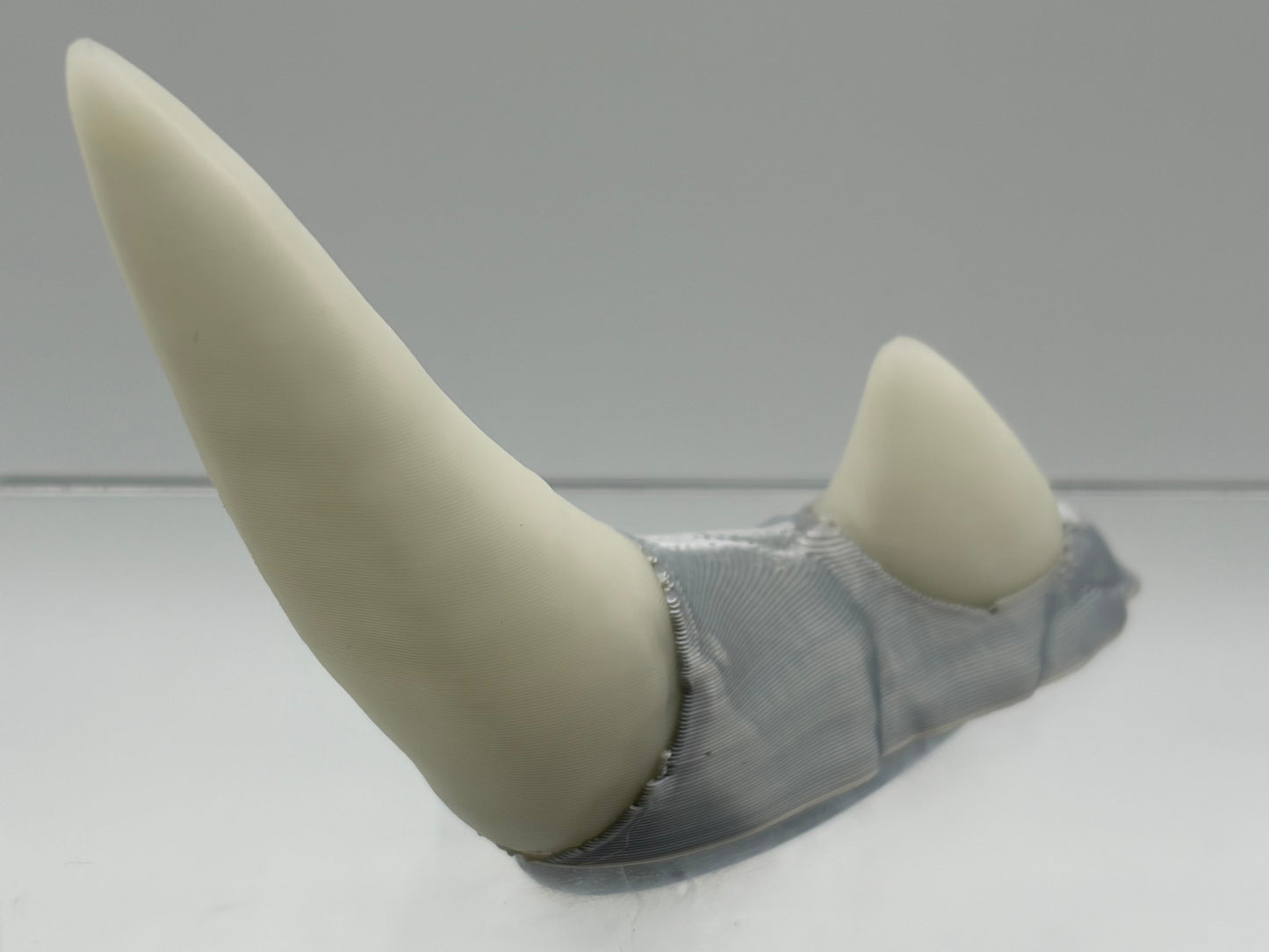 Magnetic Rhino Horn - Double Dual Magnets