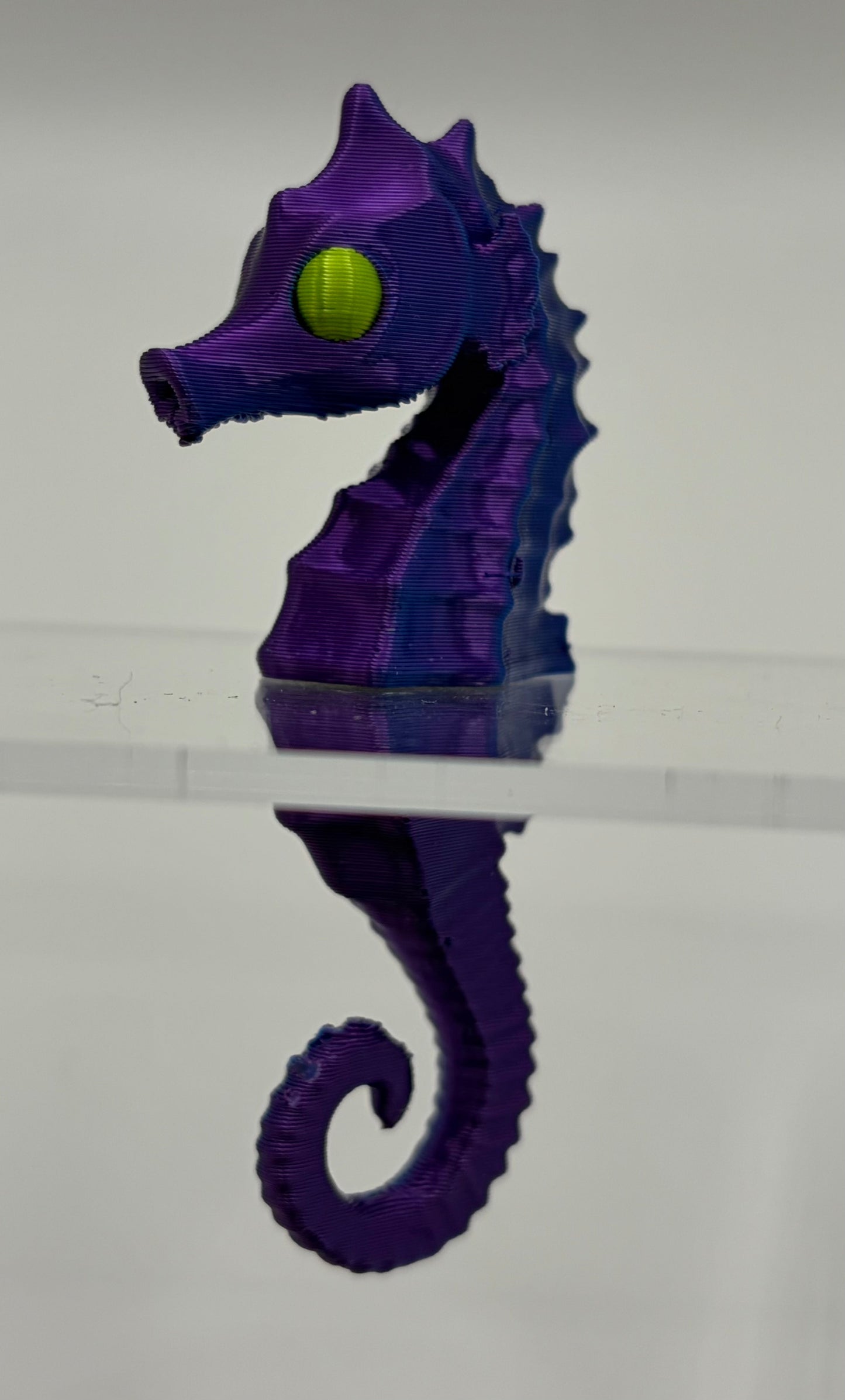 Magnetic Seahorse