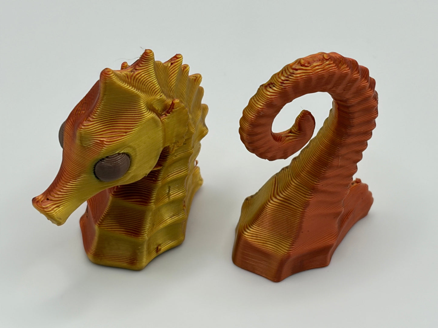 Magnetic Seahorse