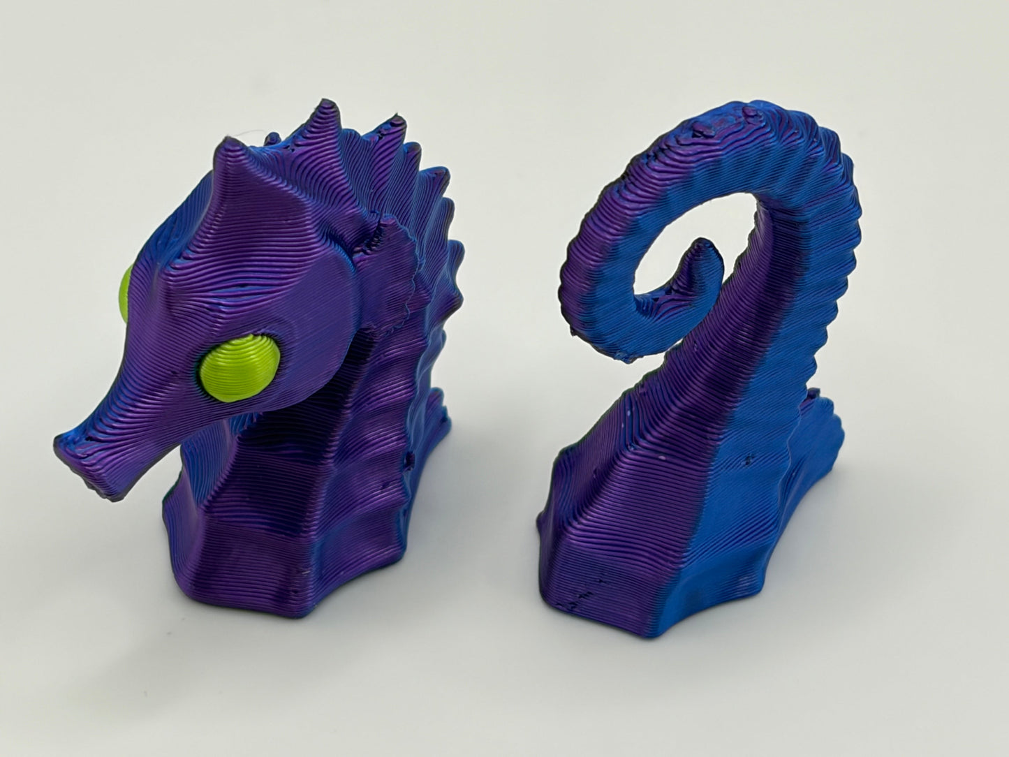 Magnetic Seahorse