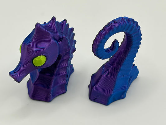 Magnetic Seahorse
